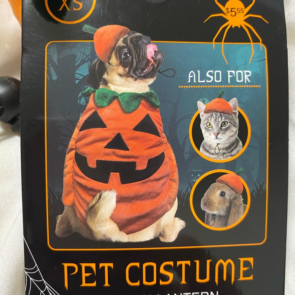 Bootique Orange and Green Pet Pumpkin Costume